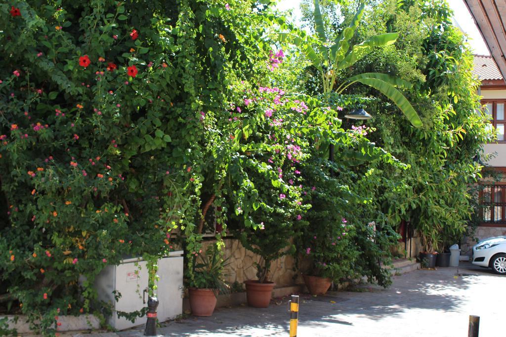 Lazer Pension Antalya Extérieur photo